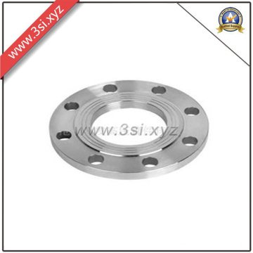 Forget 316 Stainless Steel Plate Flange (YZF-050)